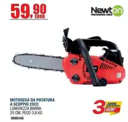Bricofer Motos Sega da Potatura Newton offerta