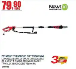 Bricofer Potatore telescopico elettrico Newton offerta