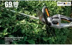 Bricofer Tagliasiepi a batteria 18V Batavia offerta