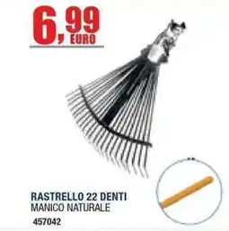 Bricofer Rastrello 22 denti manico naturale offerta