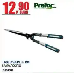 Bricofer Tagliasiepi Prafor offerta