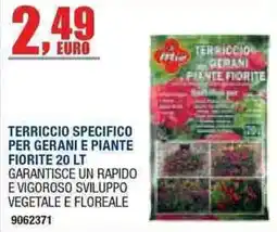 Bricofer Terriccio specifico per gerani e piante fiorite offerta
