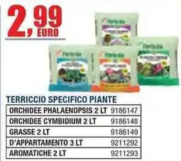 Bricofer Terriccio specifico piante offerta