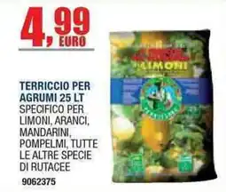 Bricofer Terriccio per agrumi offerta