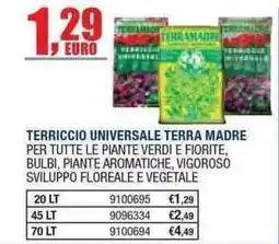 Bricofer Terriccio universale terra madre offerta