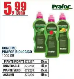 Bricofer Concime Prafor Biologico offerta
