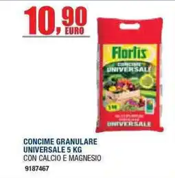 Bricofer Concime granulare universale Florlis offerta