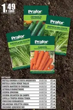 Bricofer Ortaggi bietola bionda a costa argentata offerta