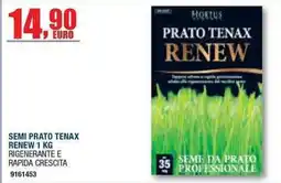 Bricofer Semi prato tenax renew offerta