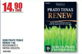 Semi prato tenax renew