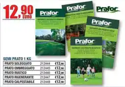 Bricofer Prafor Semi Prato offerta