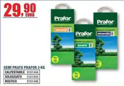 Bricofer Semi prato Prafor offerta