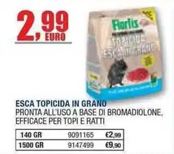 Bricofer Esca topicida in grano Floris offerta