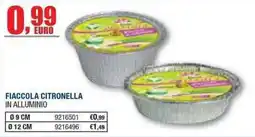 Bricofer Fiaccola citronella in alluminio offerta