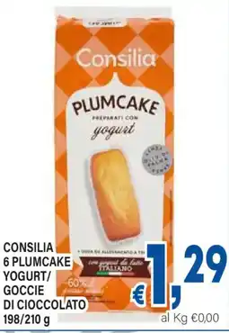 DEM Consilia plumcake yogurt/gocce di cioccolato offerta