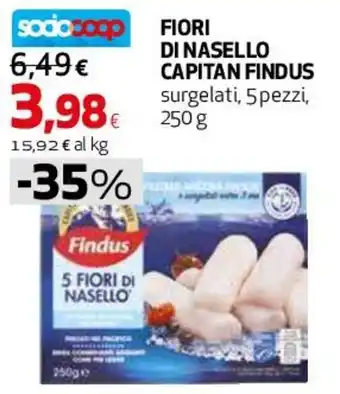 Ipercoop Fiori di nasello Findus offerta