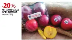 Extracoop Nettarine gialle IGP di Romagna offerta