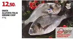 Extracoop Orata allevata Italia Origine Coop offerta