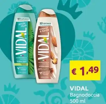 Vidal Bagnodoccia