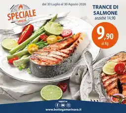 Panapesca Tranci di salmone offerta