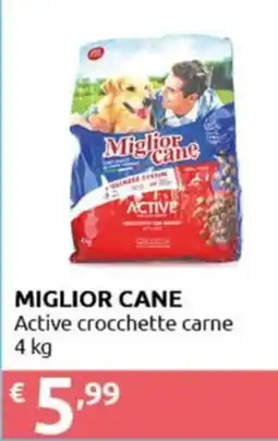 Smoll Miglior Cane Active crocchette carne offerta