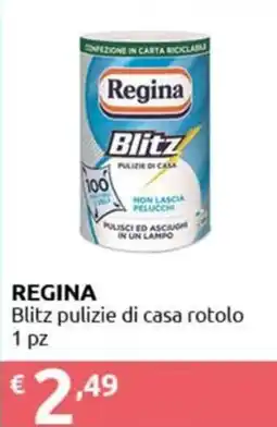 Smoll Regina Blitz pulizie di casa rotolo offerta