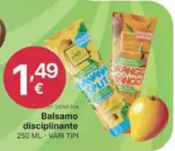 Ingroshop Balsamo disciplinante offerta