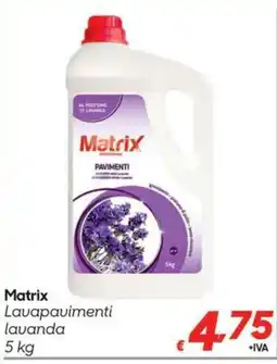 Pac Cash&Carry Matrix Lavapavimenti lavanda offerta