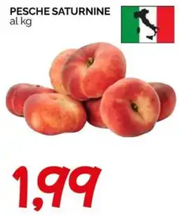 Hardis Pesche Saturnine offerta