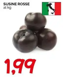 Hardis Susine rosse offerta