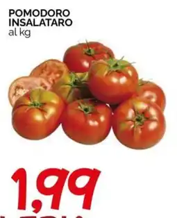 Hardis Pomodoro insalatario offerta