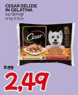 Hardis Cesar Delizie in Gelatina offerta