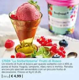 Bofrost La Sorbettoseria Frutti di Bosco offerta