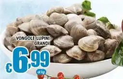 Sacoph Vongole lupini grandi offerta