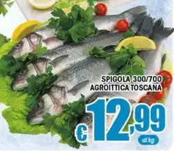 Sacoph Spigola agroittica toscana offerta
