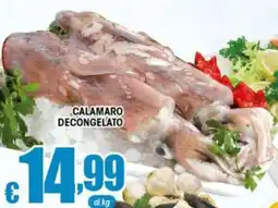 Sacoph Calamaro Decongelato offerta