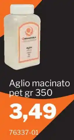 GrosMarket QMaiuscola Aglio macinato offerta