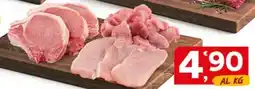 Quick Sisa Costata/ bocconcini/ coscia a fette di suino offerta