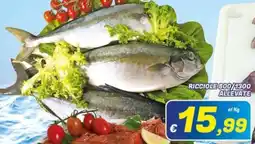 Idromarket Ricciole allevate offerta