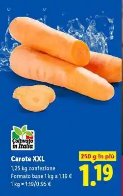 Lidl Carote XXL offerta