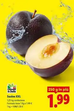 Lidl Susine XXL offerta