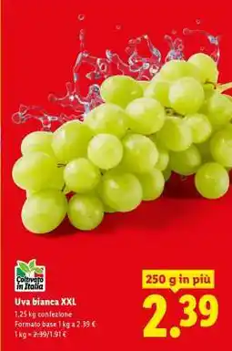 Lidl Uva bianca XXL offerta