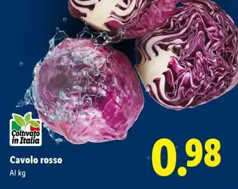Lidl Cavolo rosso offerta