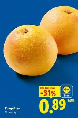 Lidl Pompelmo offerta