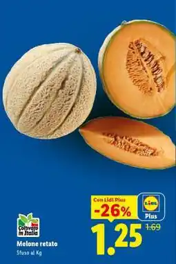 Lidl Melone Retato offerta