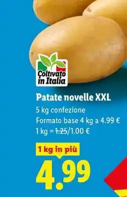 Lidl Patate Novelle XXL offerta