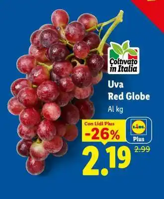 Uva Red Globe
