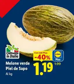 Lidl Melone verde Piel de Sapo offerta