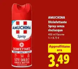 Lidl AMUCHINA Disinfettante Spray senza risciacquo offerta