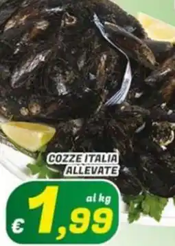 Idromarket Cozze italia allevate offerta